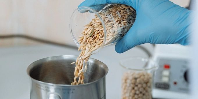 What is a Bioengineered Food Ingredient