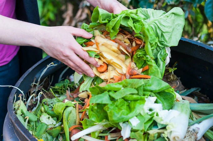 How to Reduce Food Waste in Your Home